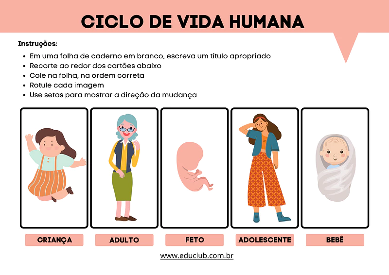 Atividade sobre ciclo de vida humana para imprimir | Educlub